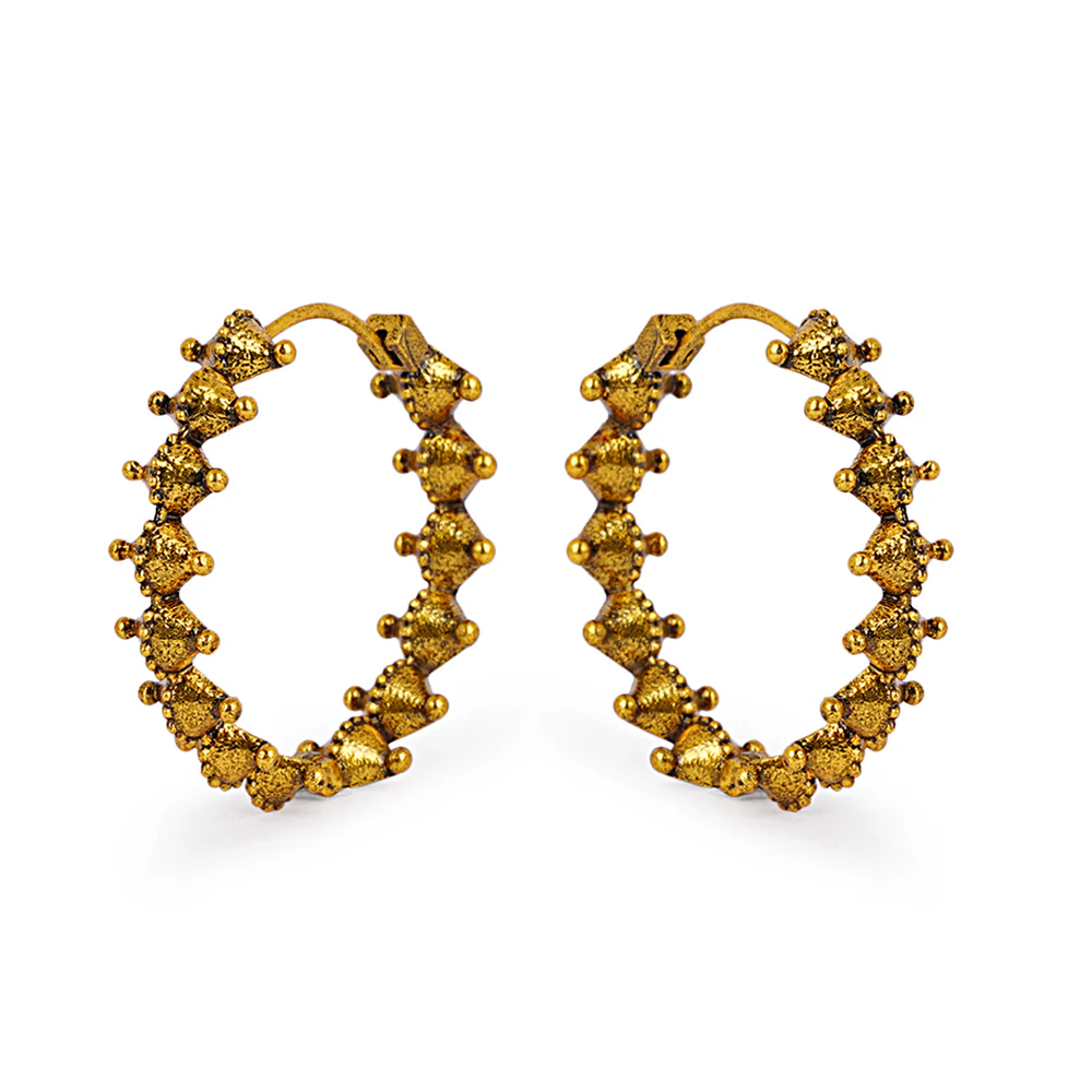 Trendy Fashion Hoops Earrings - Image 3